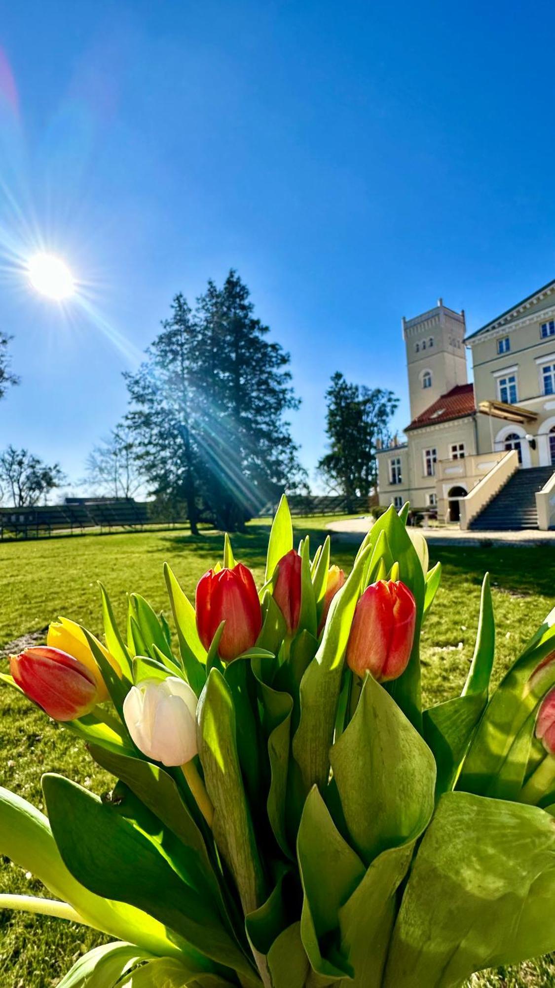 Hotel Spa Wieniawa Rekowo  Exteriör bild